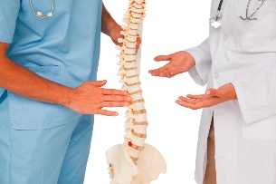 Medici e modello della colonna vertebrale